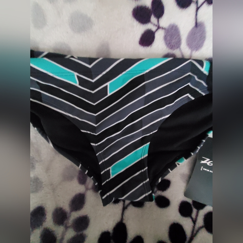 Black and Teal Striped Zoot Triathlon Bikini Bottom
